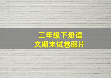 三年级下册语文期末试卷图片