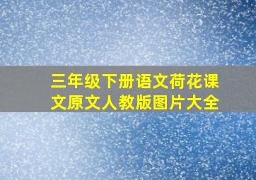 三年级下册语文荷花课文原文人教版图片大全