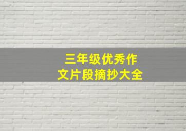 三年级优秀作文片段摘抄大全