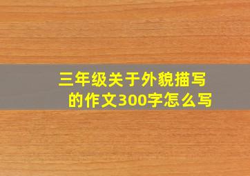 三年级关于外貌描写的作文300字怎么写