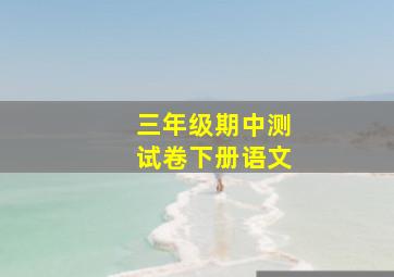 三年级期中测试卷下册语文