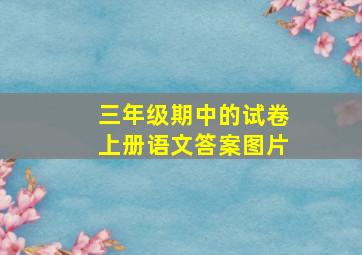 三年级期中的试卷上册语文答案图片