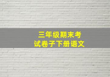 三年级期末考试卷子下册语文