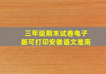 三年级期末试卷电子版可打印安徽语文淮南