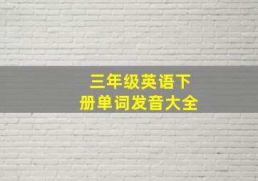 三年级英语下册单词发音大全