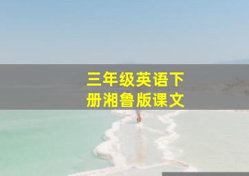 三年级英语下册湘鲁版课文