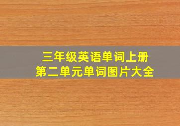 三年级英语单词上册第二单元单词图片大全