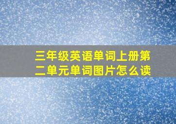 三年级英语单词上册第二单元单词图片怎么读