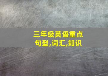 三年级英语重点句型,词汇,知识