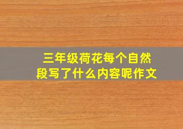 三年级荷花每个自然段写了什么内容呢作文