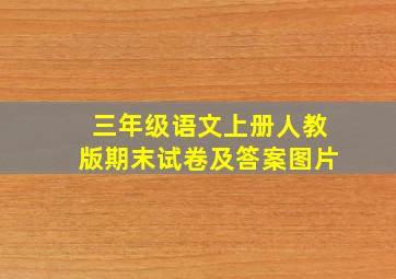 三年级语文上册人教版期末试卷及答案图片