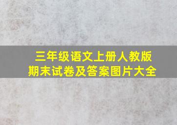 三年级语文上册人教版期末试卷及答案图片大全