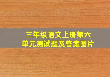 三年级语文上册第六单元测试题及答案图片