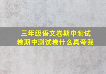 三年级语文卷期中测试卷期中测试卷什么真夸我