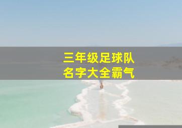 三年级足球队名字大全霸气