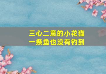 三心二意的小花猫一条鱼也没有钓到