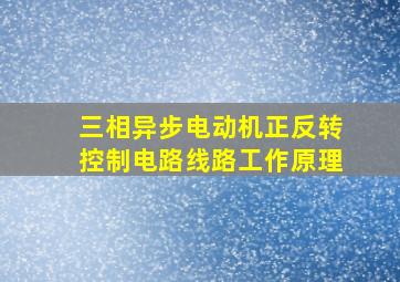 三相异步电动机正反转控制电路线路工作原理