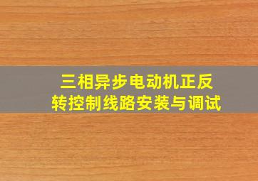 三相异步电动机正反转控制线路安装与调试