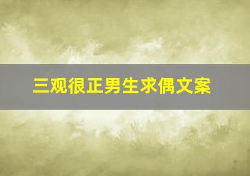 三观很正男生求偶文案