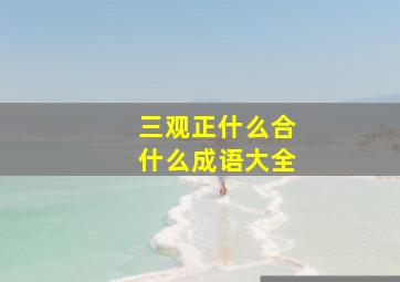 三观正什么合什么成语大全