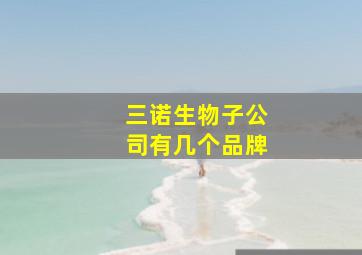 三诺生物子公司有几个品牌