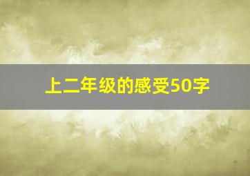 上二年级的感受50字