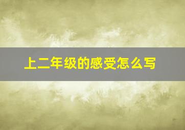 上二年级的感受怎么写