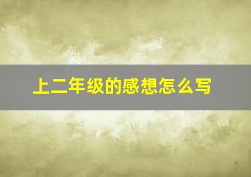 上二年级的感想怎么写