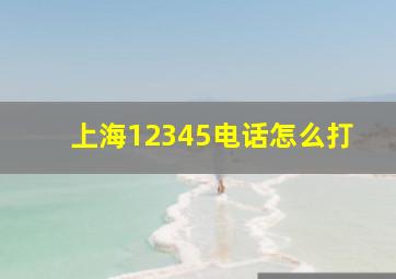 上海12345电话怎么打