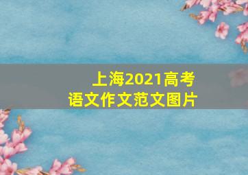 上海2021高考语文作文范文图片