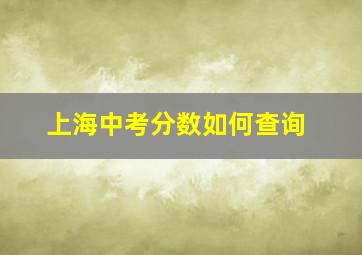 上海中考分数如何查询