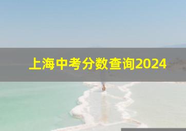 上海中考分数查询2024