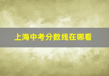 上海中考分数线在哪看