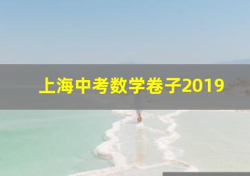 上海中考数学卷子2019