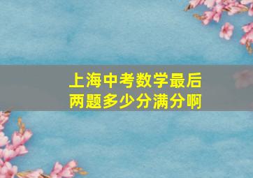 上海中考数学最后两题多少分满分啊