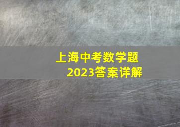 上海中考数学题2023答案详解