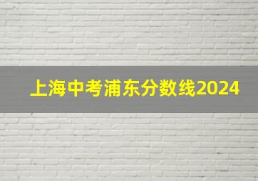 上海中考浦东分数线2024