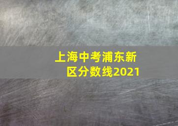 上海中考浦东新区分数线2021