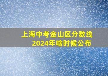 上海中考金山区分数线2024年啥时候公布