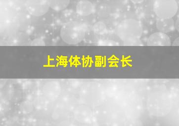 上海体协副会长