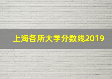 上海各所大学分数线2019