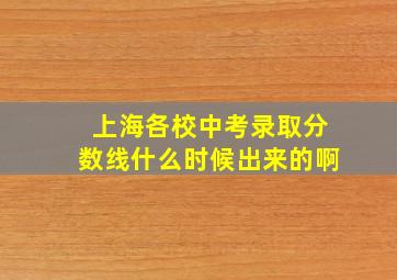 上海各校中考录取分数线什么时候出来的啊