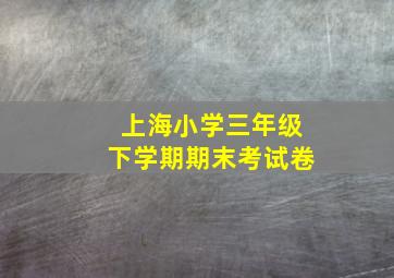 上海小学三年级下学期期末考试卷