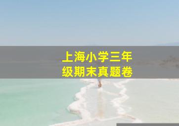 上海小学三年级期末真题卷