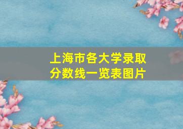 上海市各大学录取分数线一览表图片