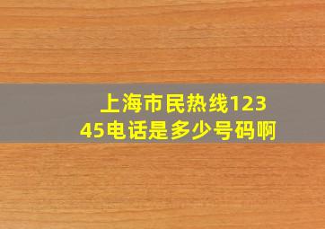 上海市民热线12345电话是多少号码啊