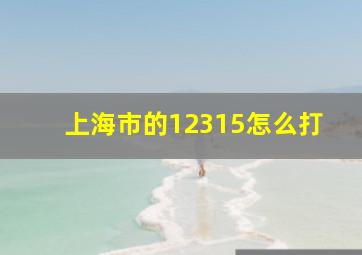 上海市的12315怎么打