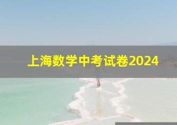 上海数学中考试卷2024