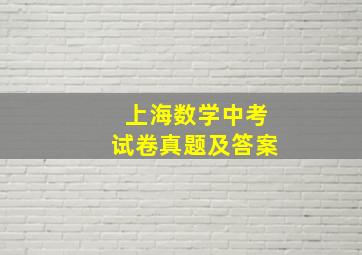 上海数学中考试卷真题及答案