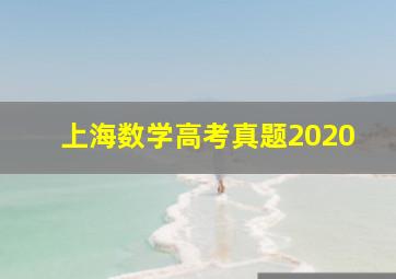 上海数学高考真题2020